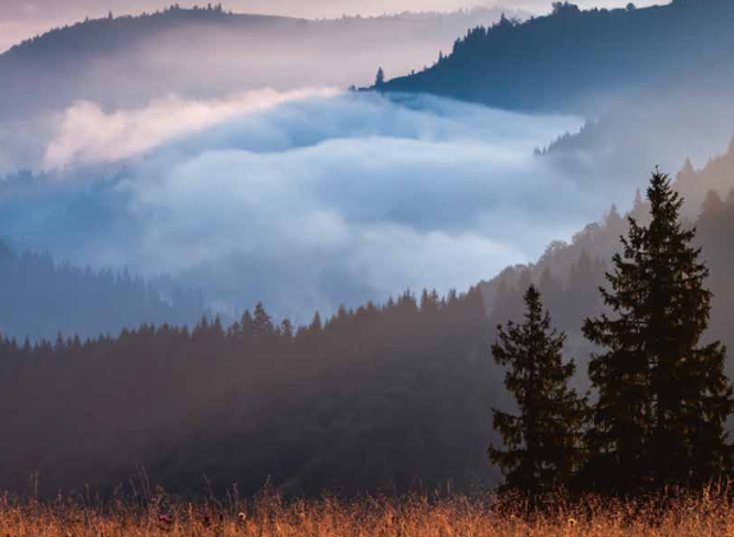 We care / We act: Gerflor